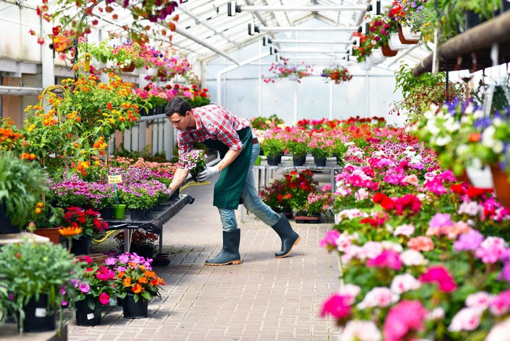 horticulture par apprentissage a objat en correze - cdfaa